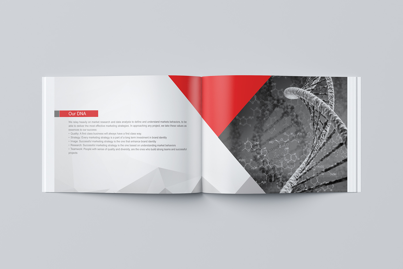 Entry 143304 in Magntic Brochure by Haweya company