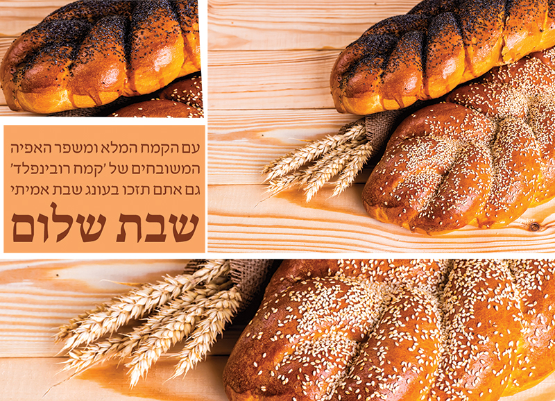 Entry 250819 in פרויקט מיתוג by עיצוב ומיתוג
