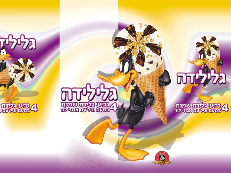 Entry 22380 in Portfolio by לירון זנגי