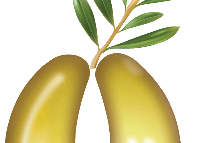 Open Zoomed Related Entry logo_edited.png
