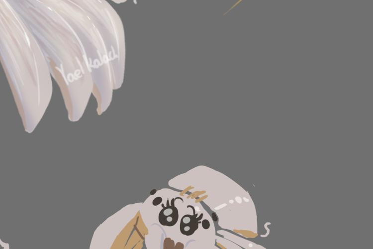 Open Zoomed Related Entry GarlicSpider.jpg