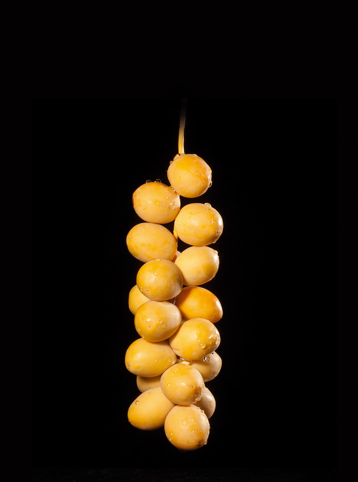 Entry 138097 in catalog for Dates and Silan (dates syrup) by איל פנחסי זהות מותגים ואריזה