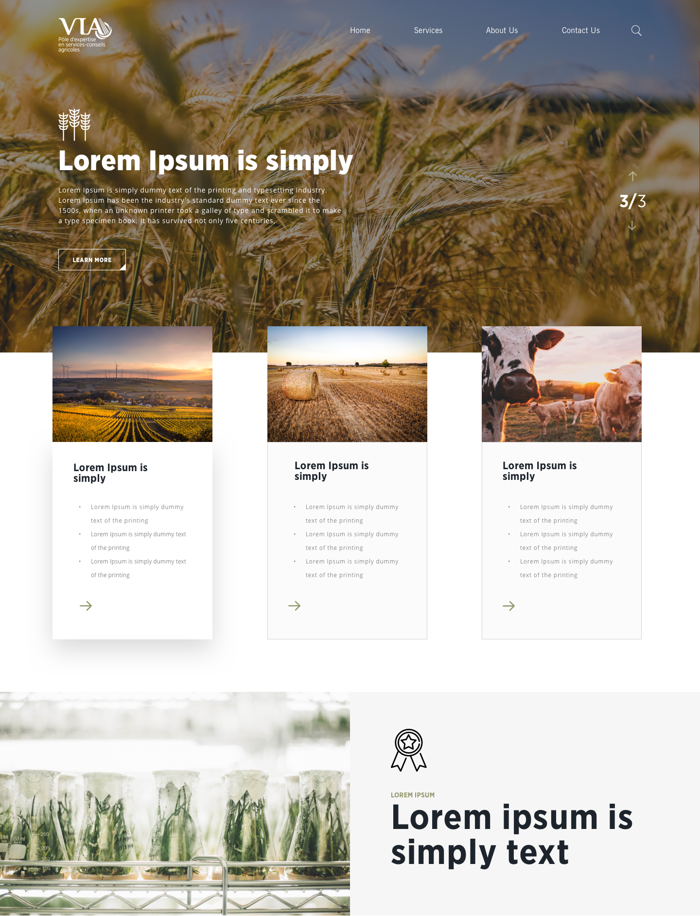 Entry 215282 in Portfolio by hipinspire