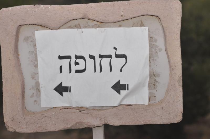 Entry 40071 in Portfolio by גד בהא