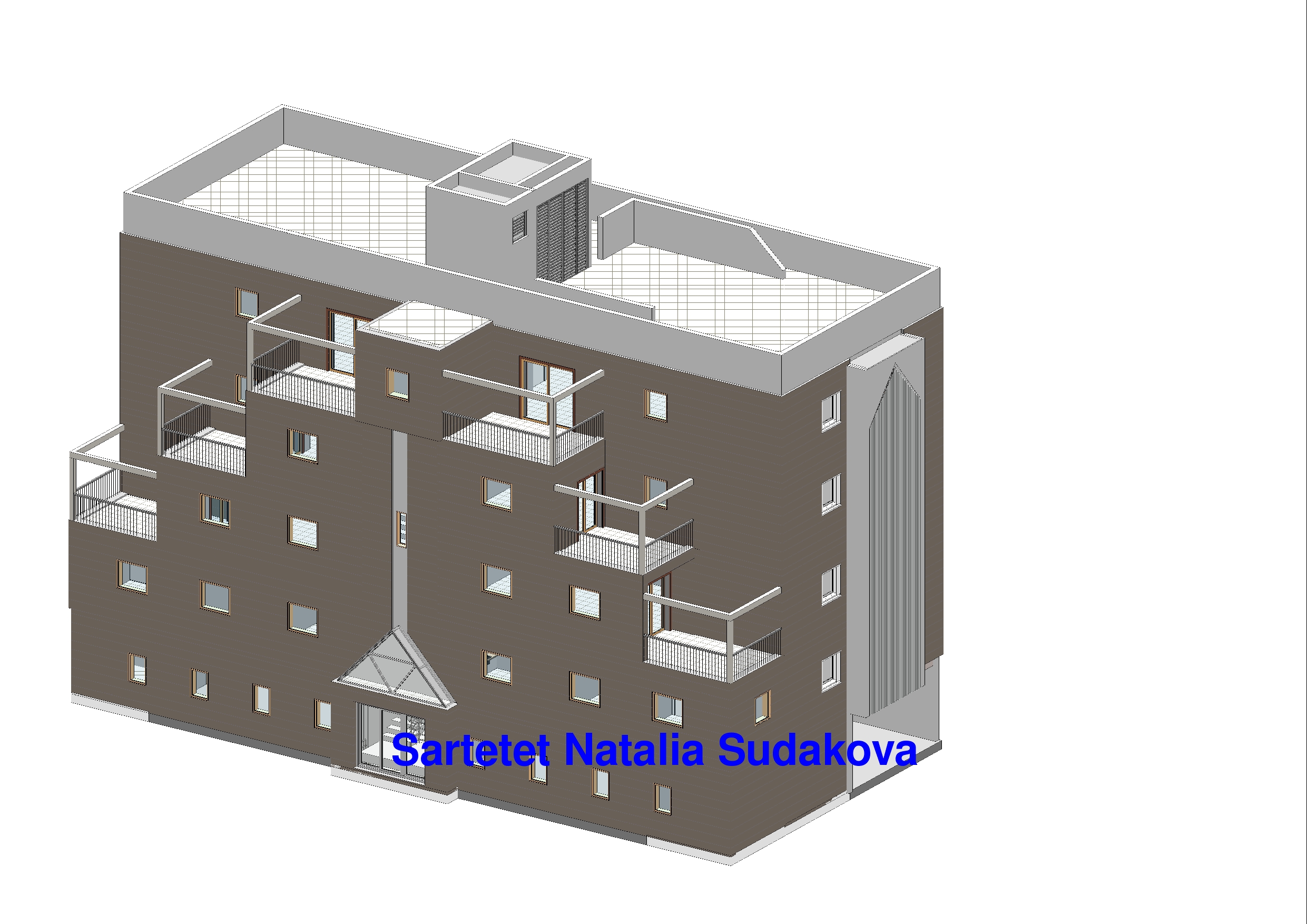 Entry 92320 in הגשות להיתר. Revit by Ricci Concept