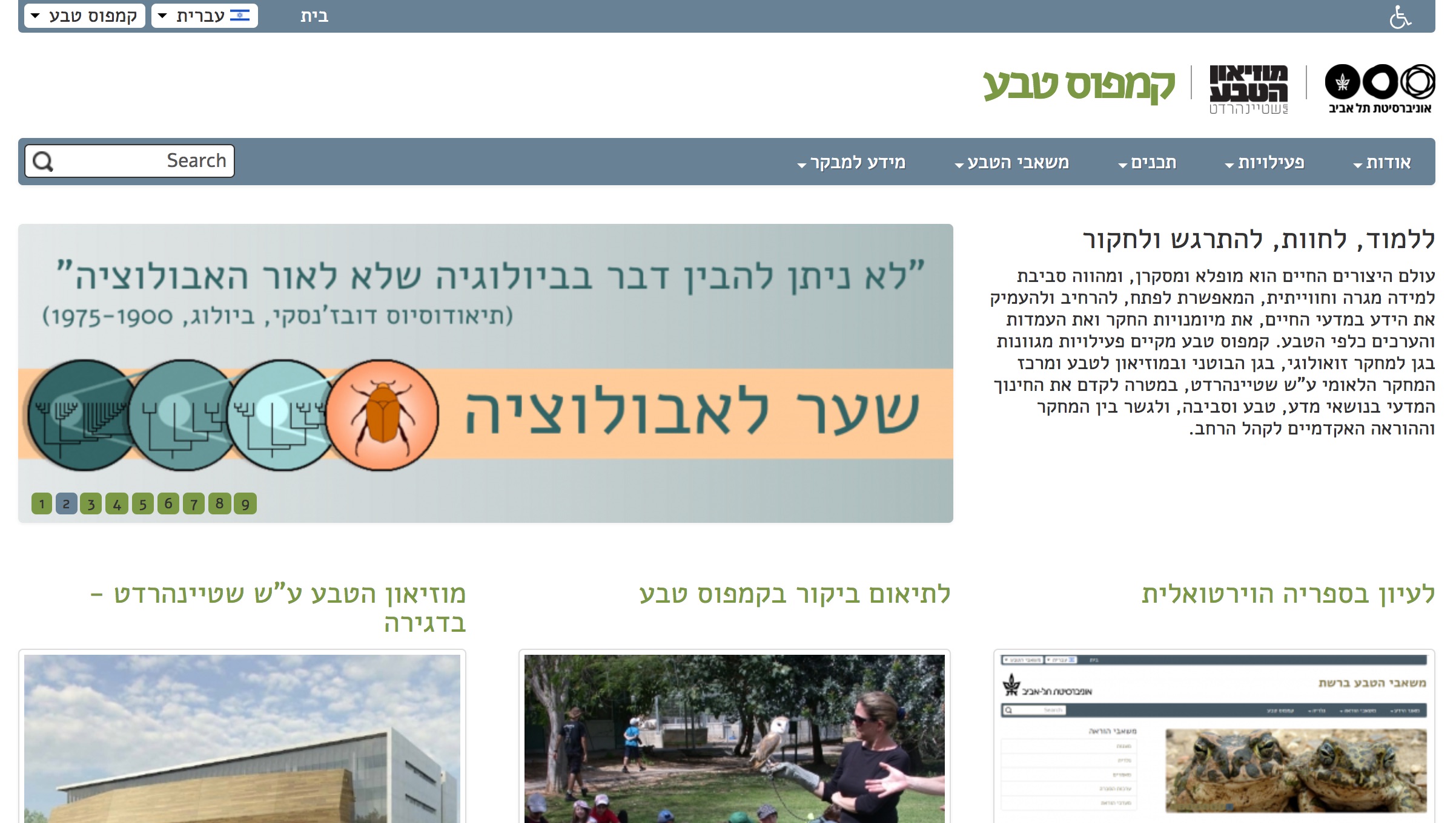 Entry 135633 in תיק עבודות כללי by Reasonat