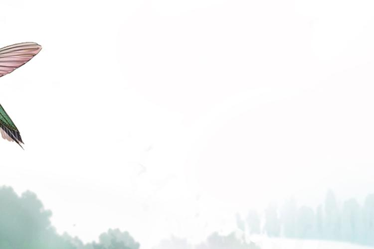 Open Zoomed Related Entry בשדה .jpg