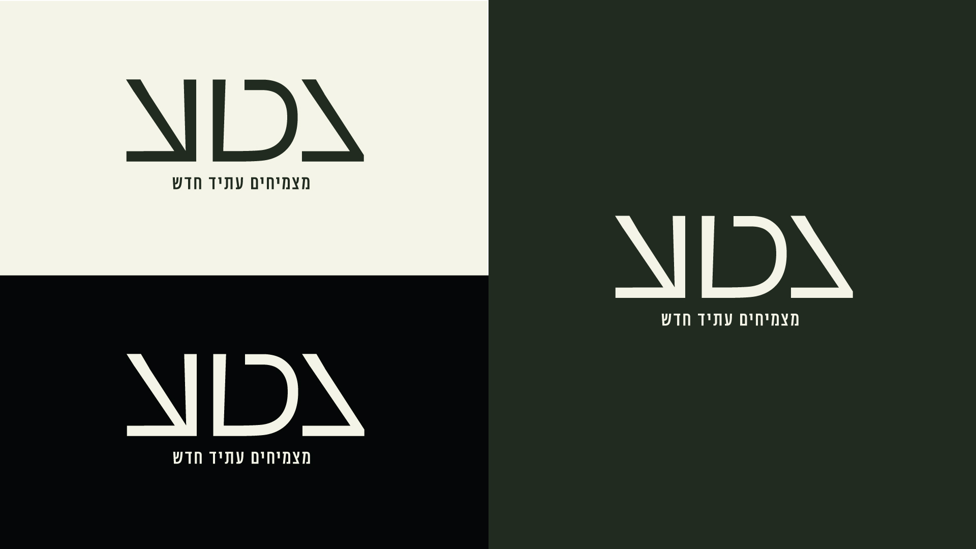 Entry 336549 in Portfolio by סטודיו SENSA