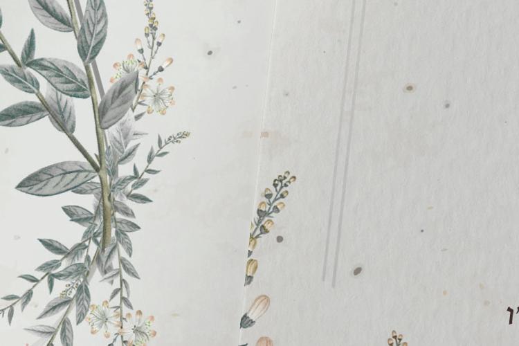 XPlace פרילנסרים | עבודה מהבית לפרילנסר ועבודות פרילנס לפרילנסרים