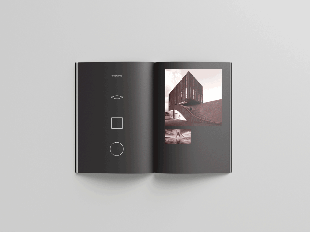 Entry 327182 in Portfolio by Yael Oviedo Tulpan