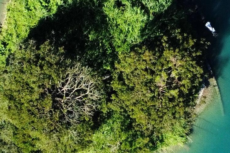 Open Zoomed Related Entry dji_fly_20241201_115552_449_1733057714116_photo...