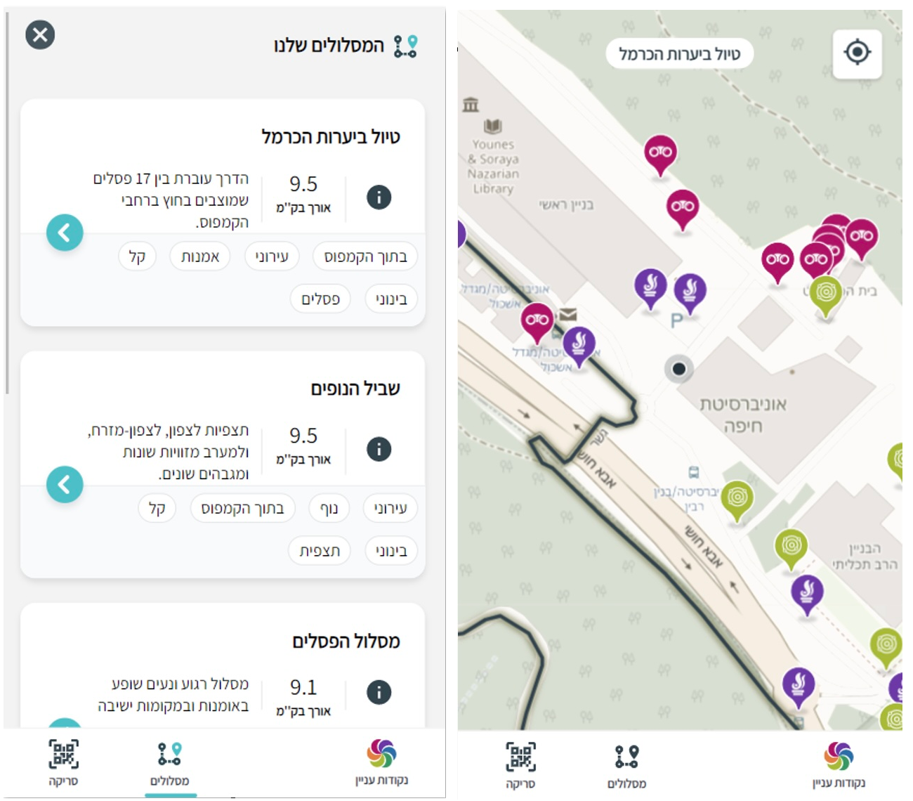 Entry 330974 in Portfolio by שיר זבולוטני