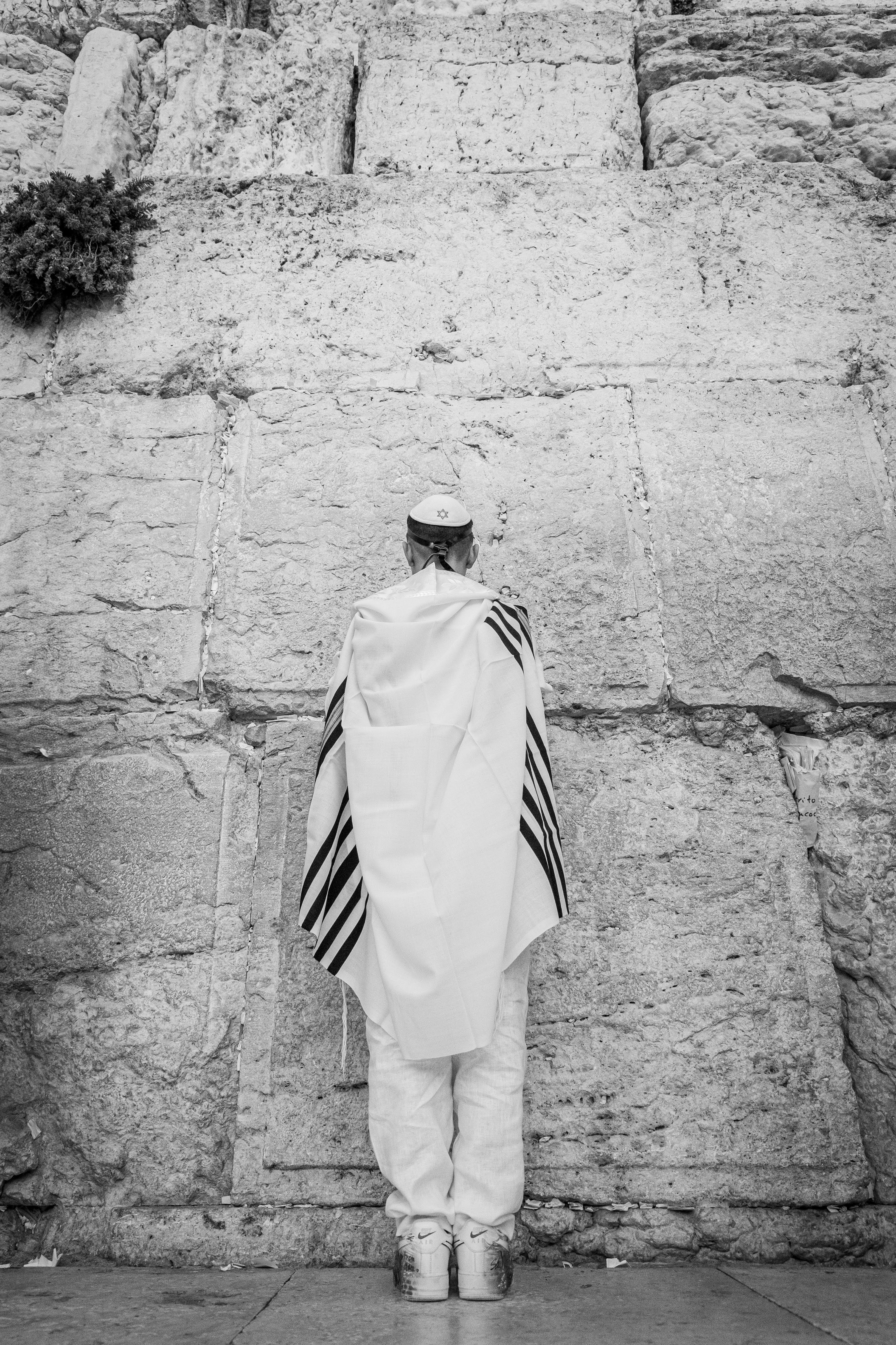 Entry 342310 in עלייה לתורה by דני שטיינברגר פאטל - צלם