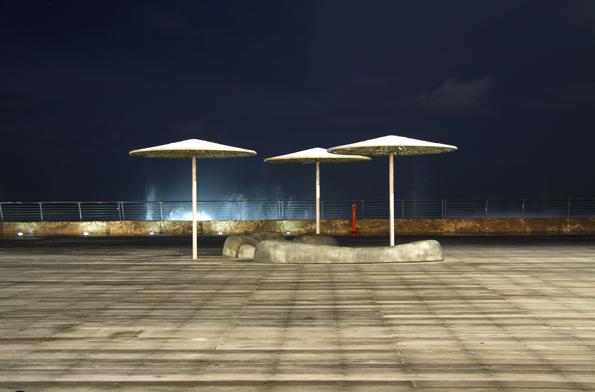 Entry 7241 in Portfolio by דניאלה הורבין- צלמת