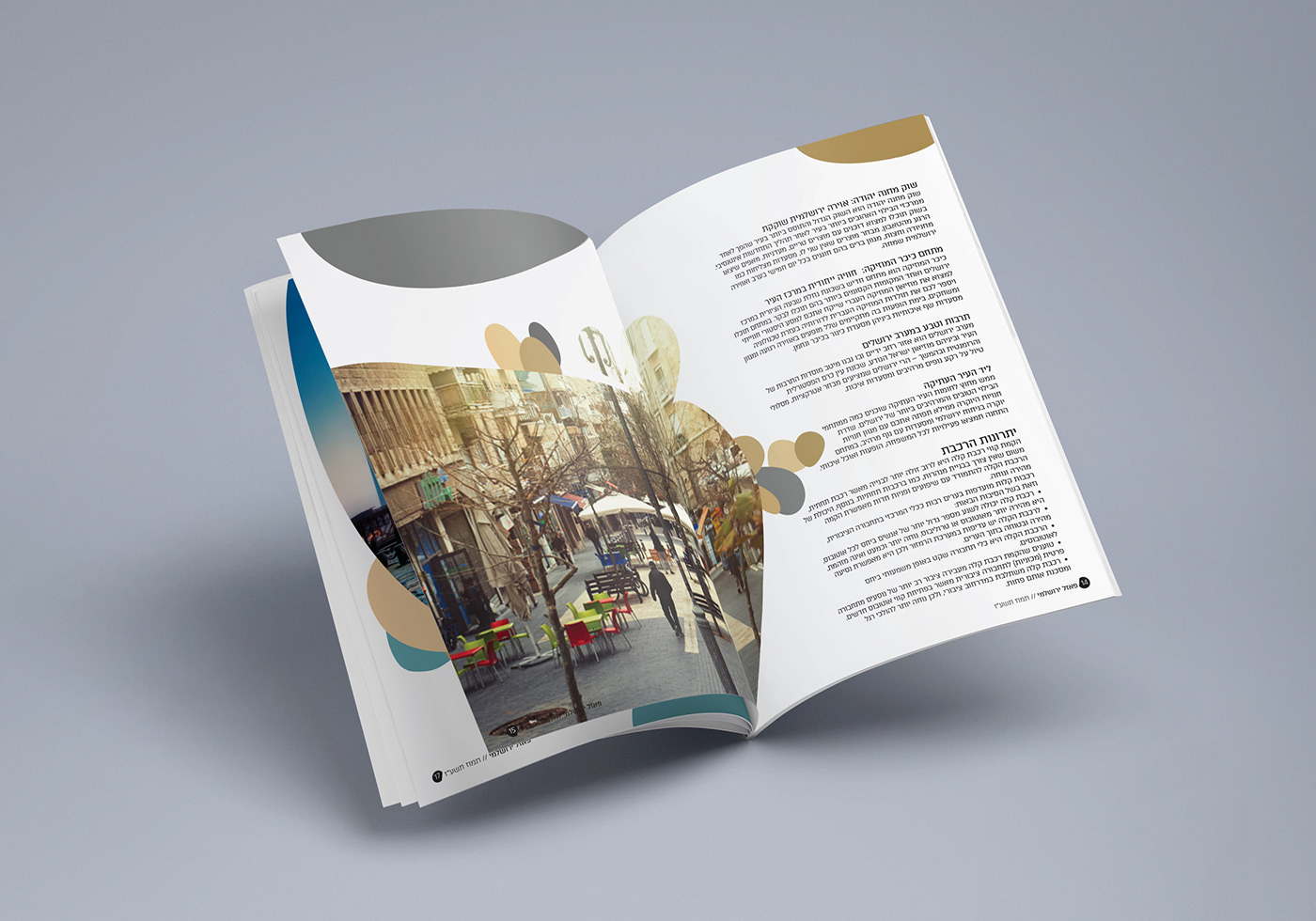 Entry 220783 in Light Rail Magazine by אביה זוביב
