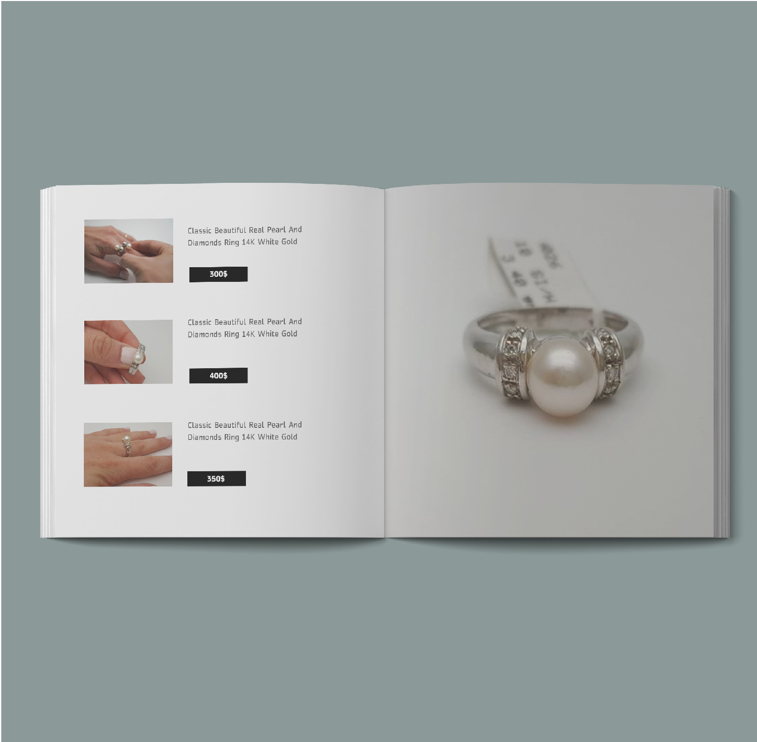 Entry 225794 in Portfolio by WebConcepts