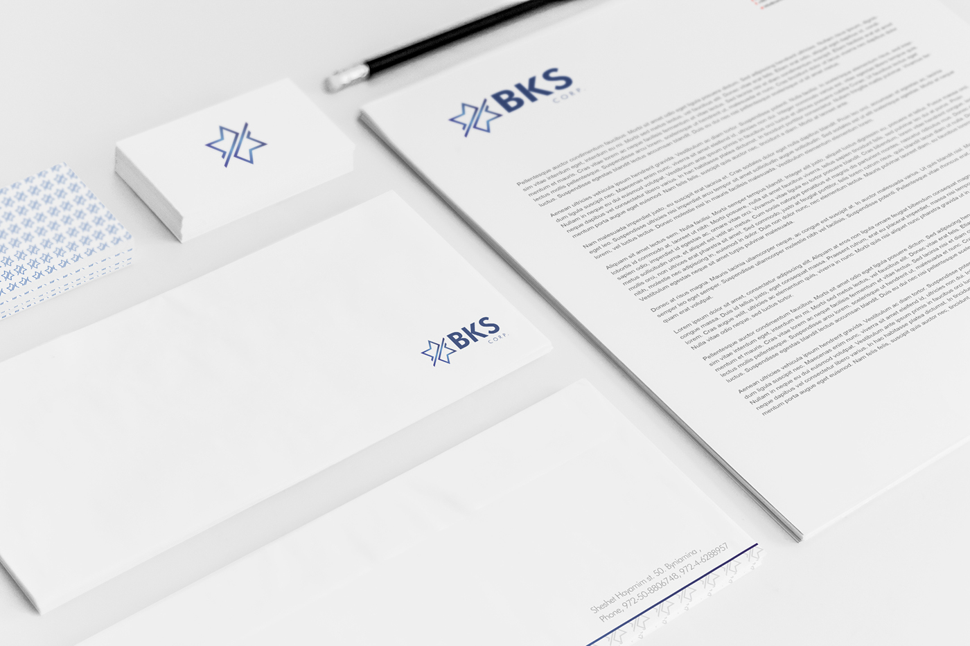 Entry 85292 in BKS Partners | Logo Developing by 28/8 Design