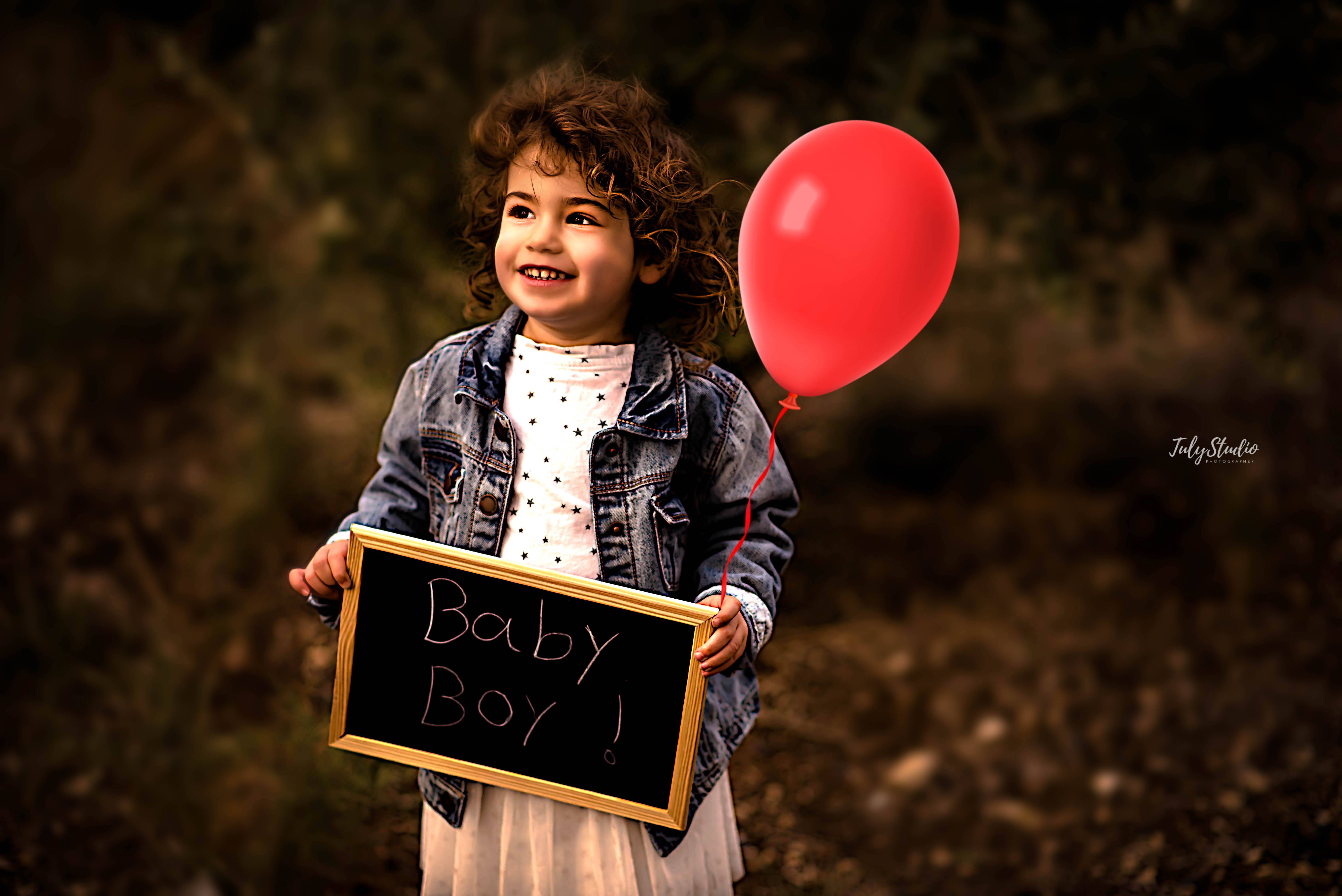 Entry 228980 in Portfolio by טולי סטודיו