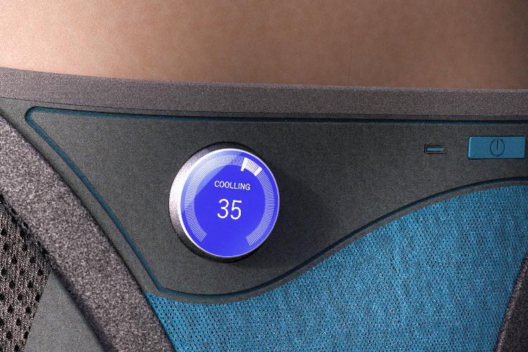Open Zoomed Related Entry back belt front.jpg