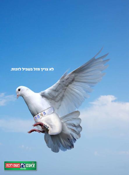 Entry 29875 in Portfolio by גלית קונפורטי - מעצב�� גרפית וארטדירקטורית