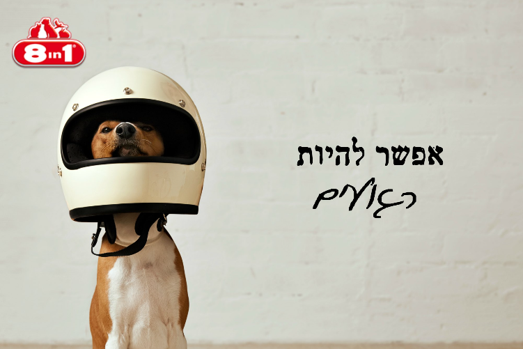 Open Entry 254732 in בעלי חיים :) by Orit Slama