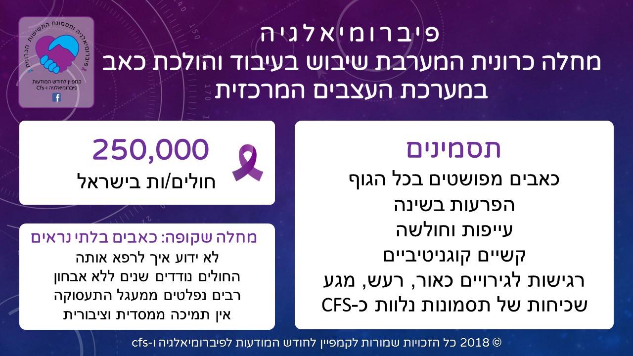Entry 253198 in Portfolio by חזי כהן גלמן