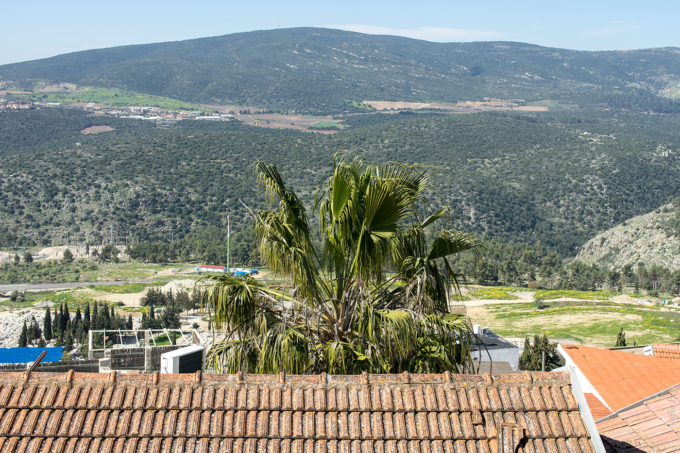 Entry 200008 in 10 days in Israel by Sofia Feiguelman