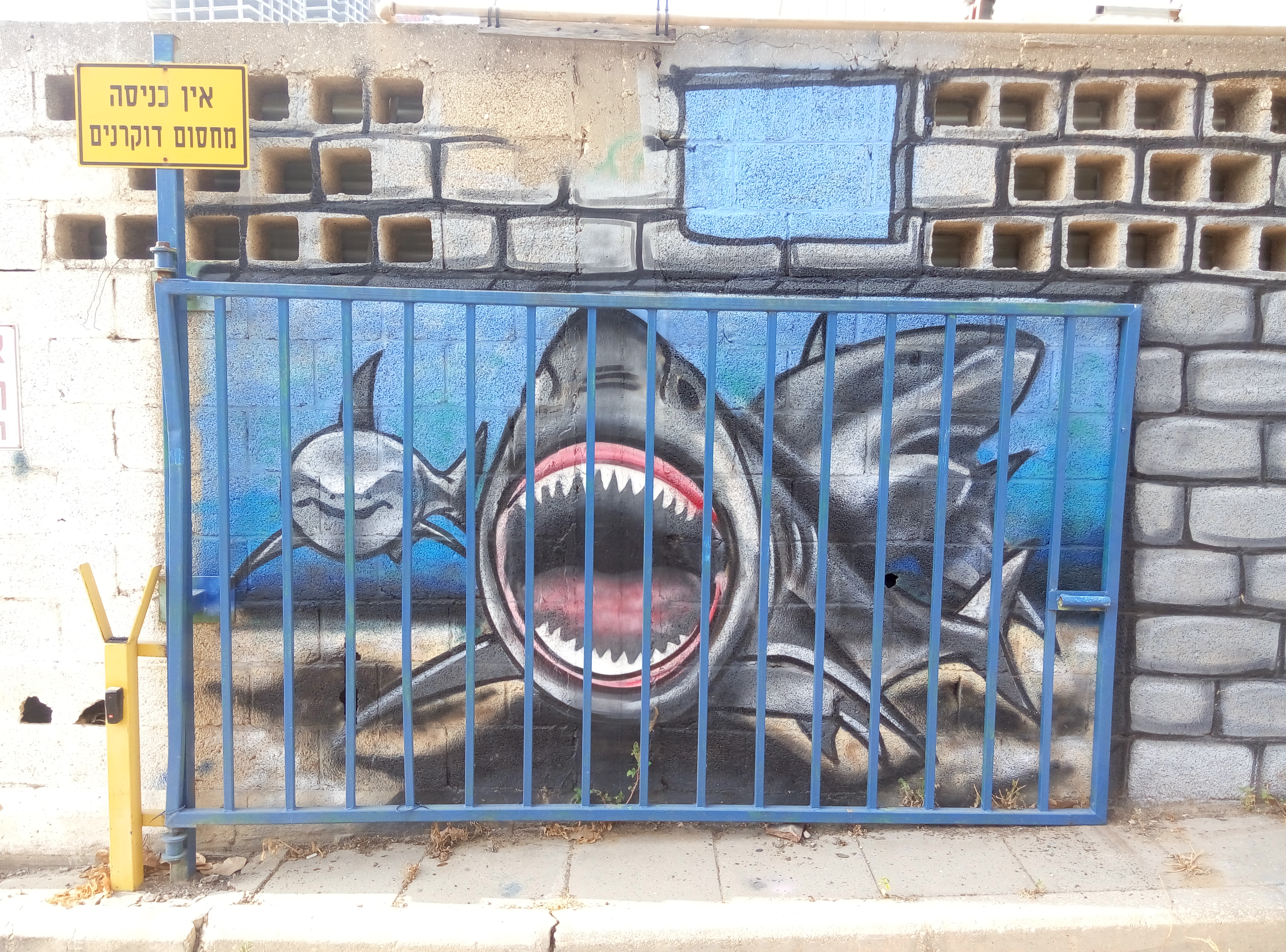 Entry 147259 in Portfolio by עידן יעקב