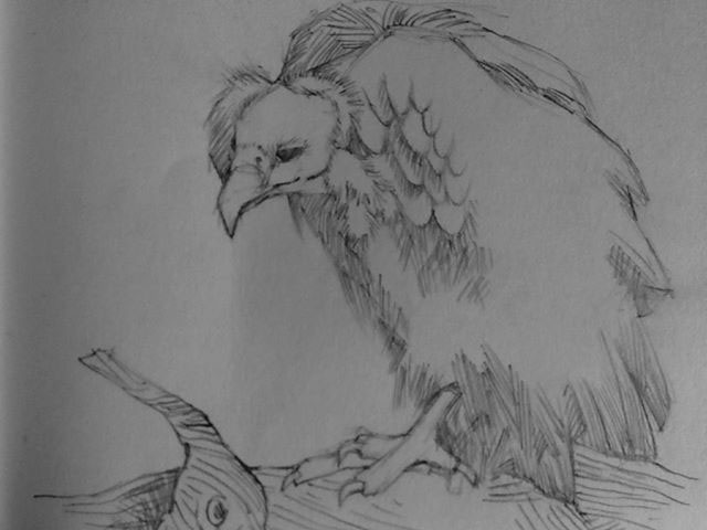 Entry 99476 in Illustration & Sketches Collection by Graphic Boost