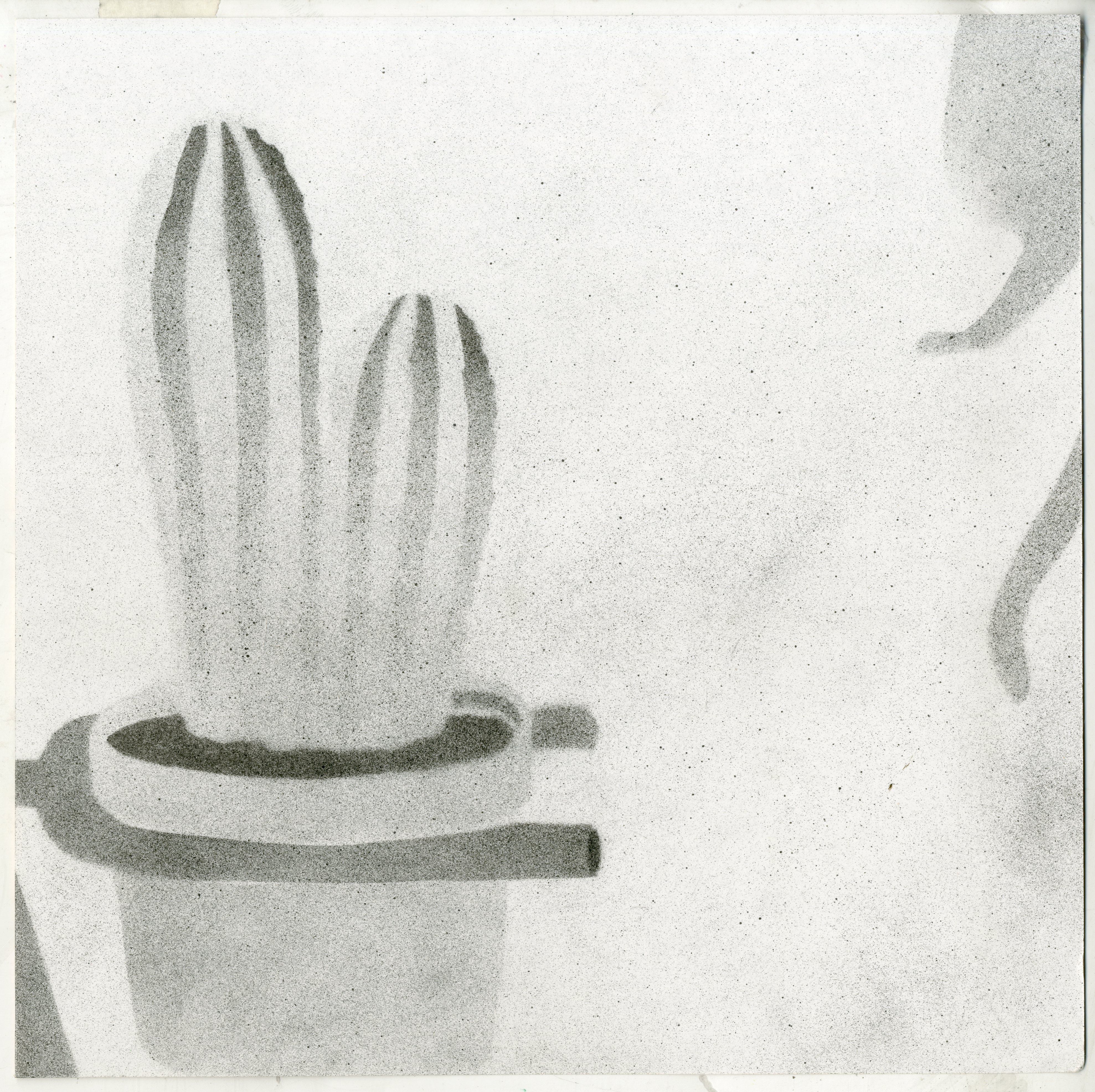 Entry 193860 in Spray Project - Cat House Bicycle Cactus by Tal Wagner