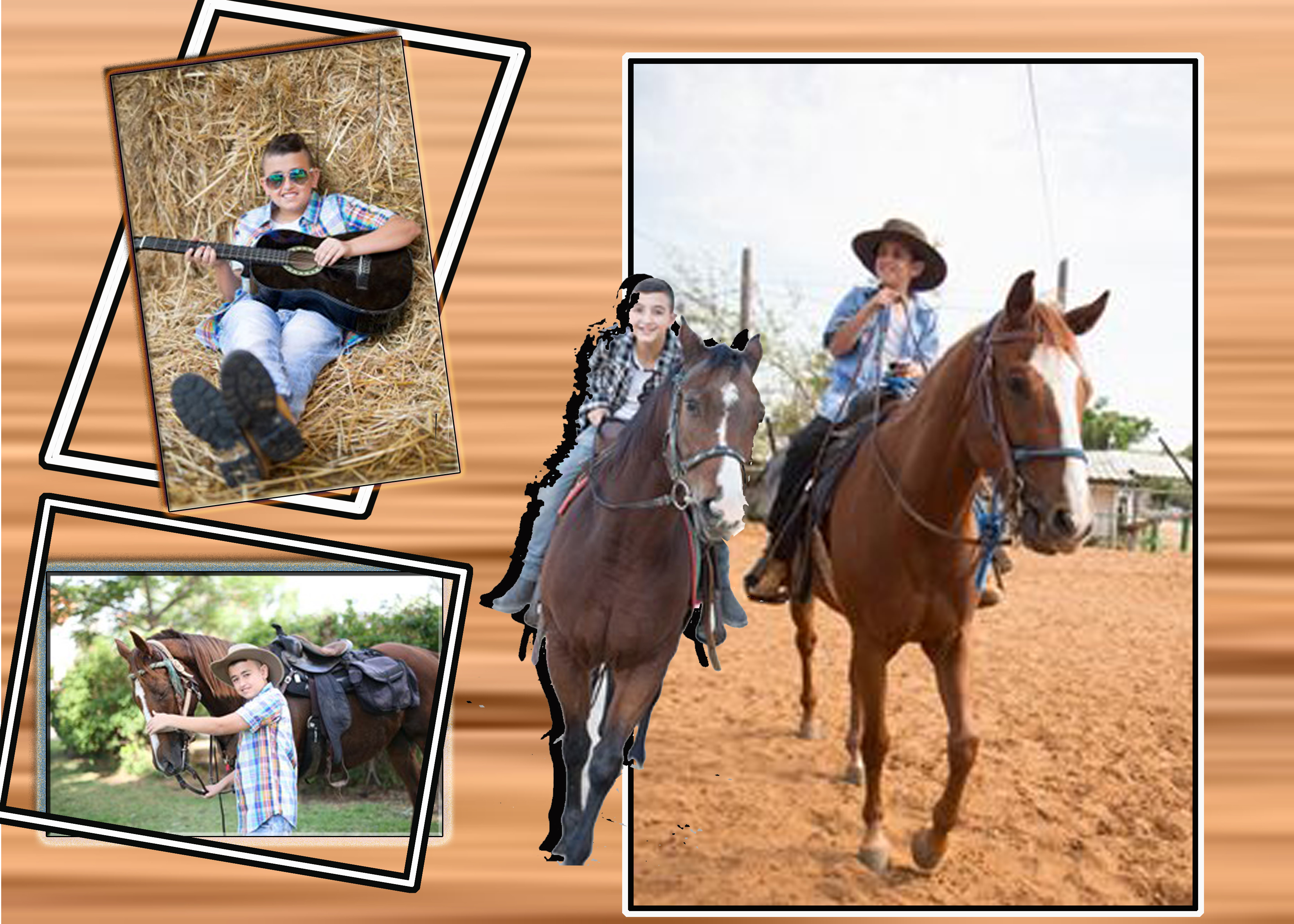 Entry 107244 in Portfolio by עיצובים