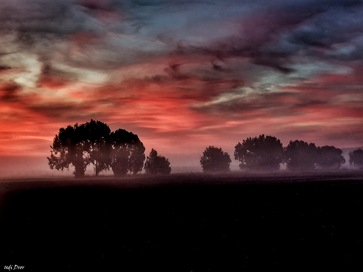 Entry 209475 in Portfolio by Udi Dror Photography
