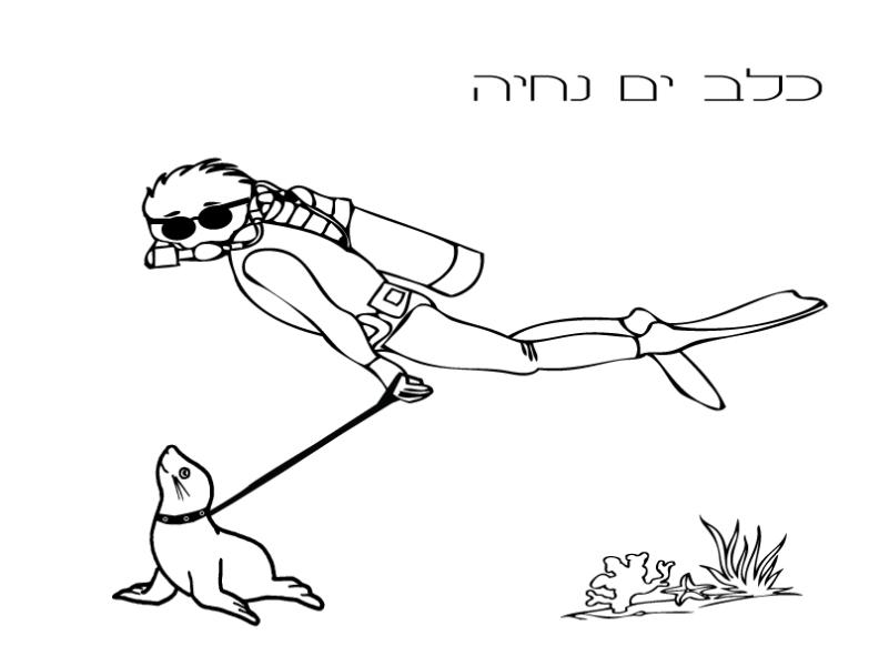 Entry 40244 in Portfolio by אורן שני, קומירַייטינג