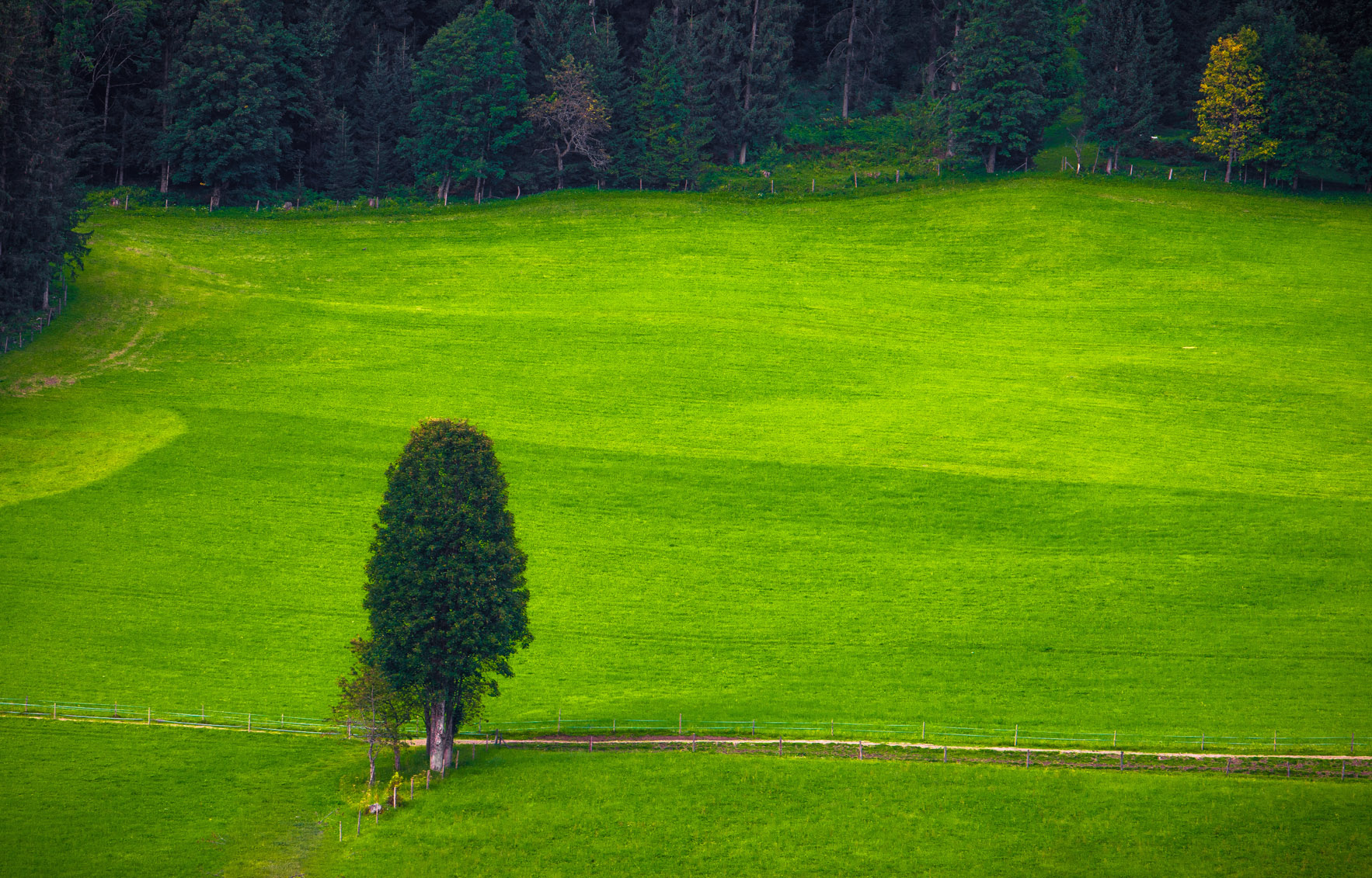 Entry 121404 in Landscapes by Ron Stollman Photography