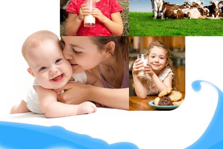 Open Zoomed Related Entry Dairy.jpg