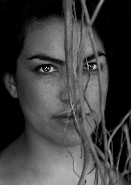 Entry 44674 in Portfolio by shelly's photography