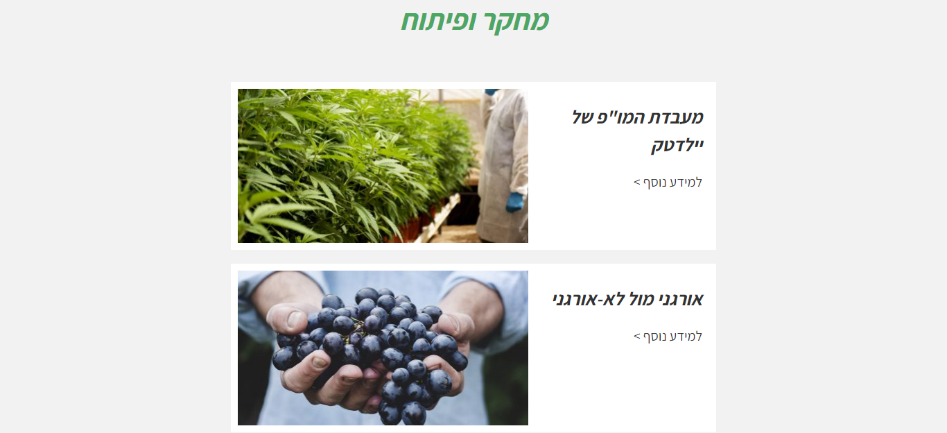 Entry 267856 in כתיבת תכנים by ayala web creation