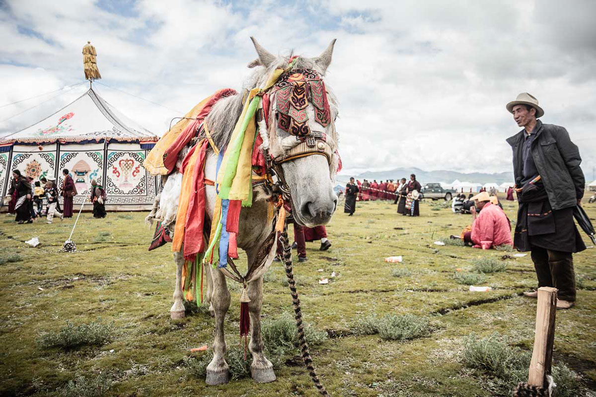 Entry 212672 in Tibetan Festivals From Sichuan by Alexandre Ammar
