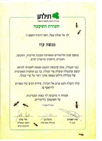 Open Zoomed Related Entry תעודת הצטיינות