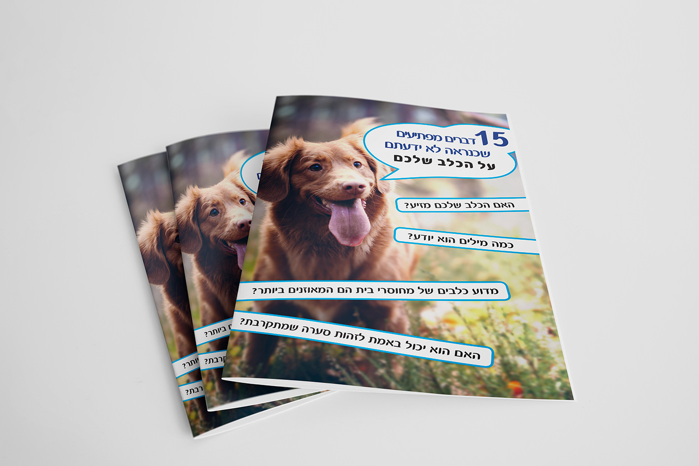Entry 216955 in 15 Facts about Dogs by ענבר סיני עיצוב גרפי