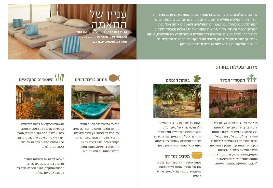 Entry 75231 in Portfolio by יעליקה YAELIKKA