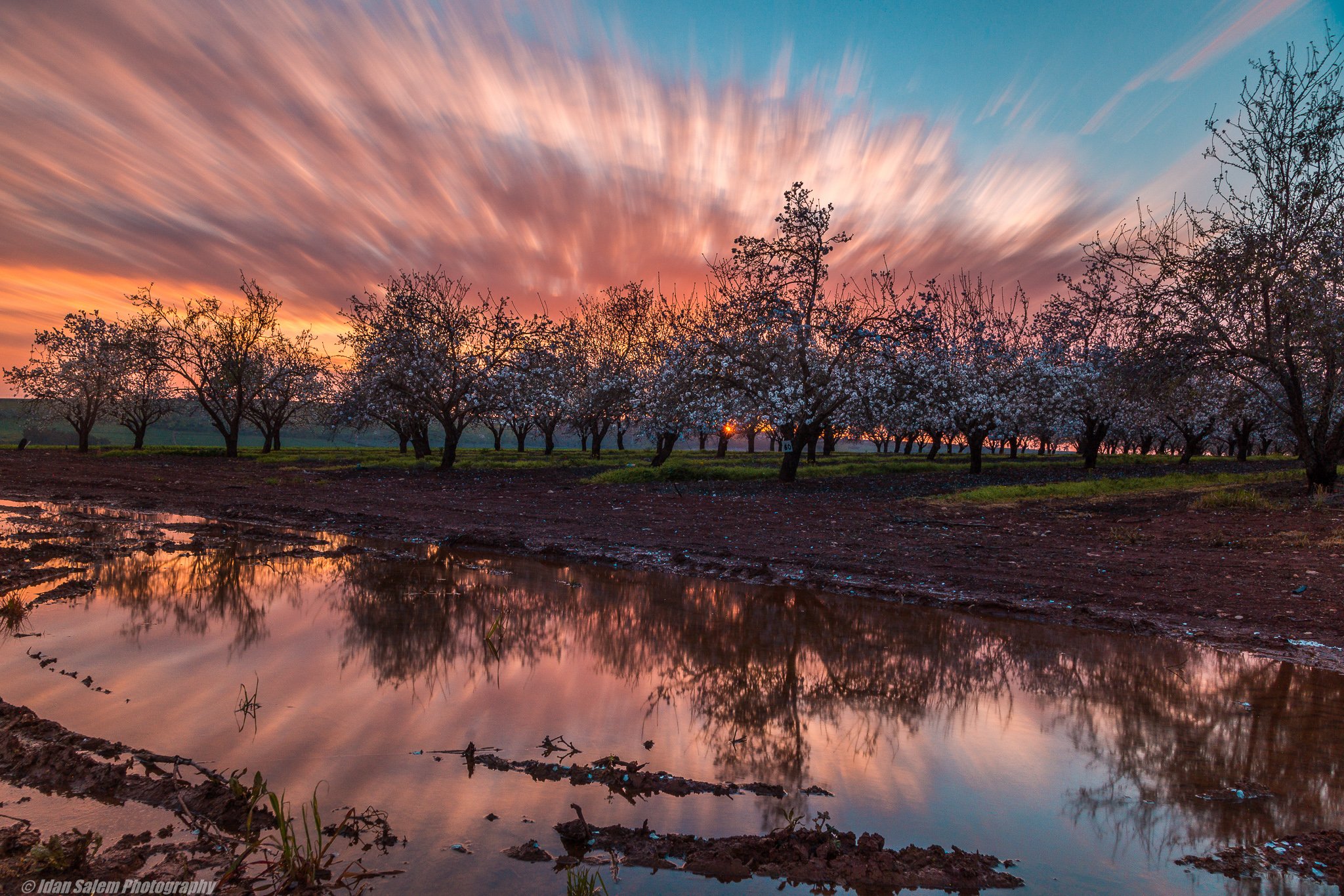 Entry 177270 in Portfolio by Idan Salem Photography