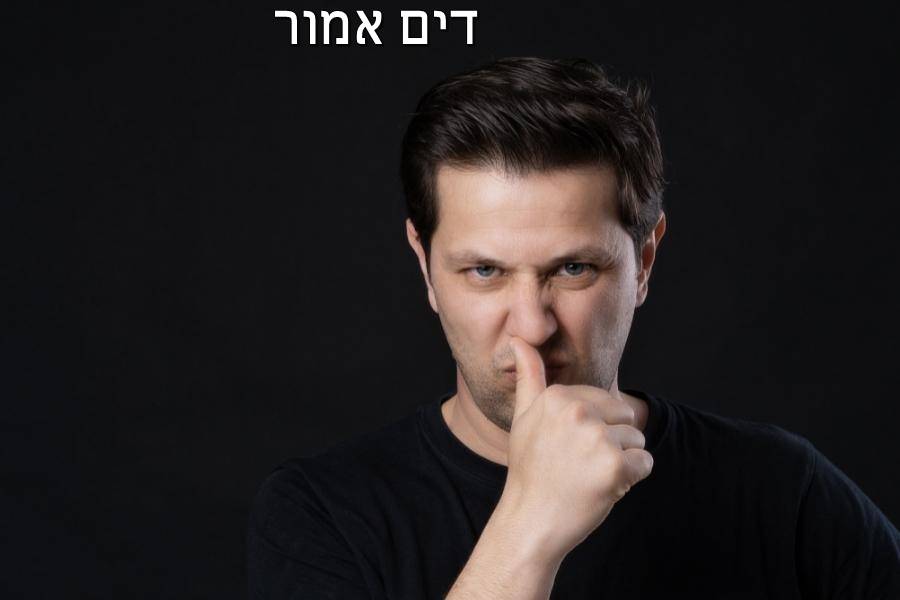 Entry 267770 in Portfolio by דים אמור בית ספר למשחק