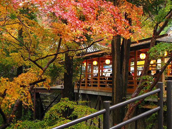 Entry 111303 in Japan Autumn leaves by Sweet-Art