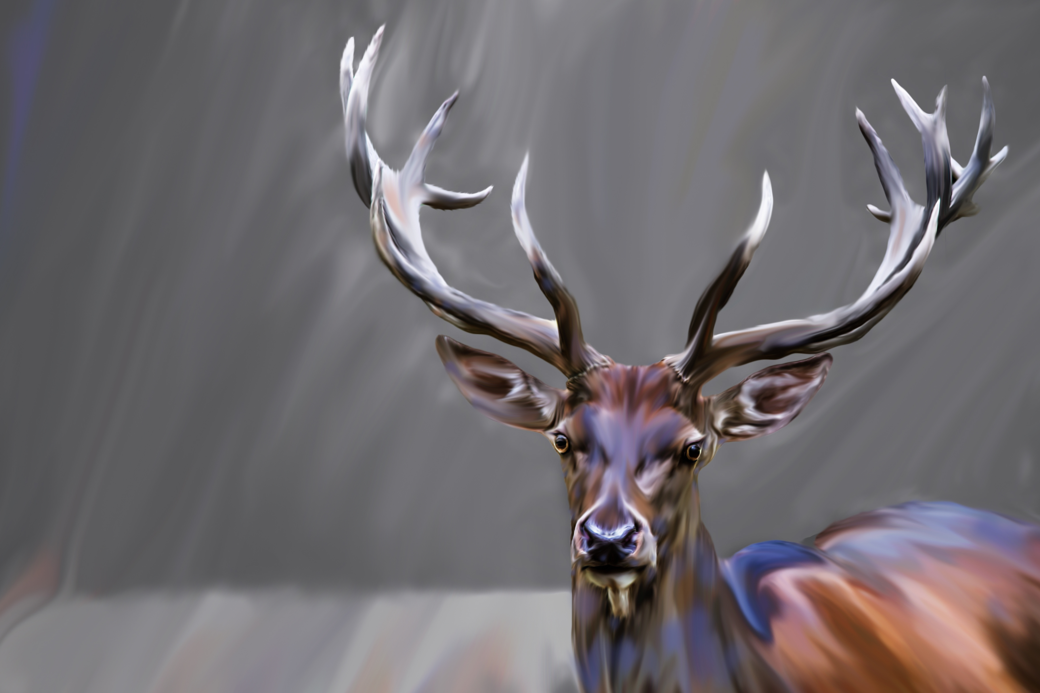 Entry 259007 in Portfolio by Rach Design