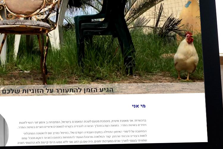 Open Zoomed Related Entry orittzin.jpg