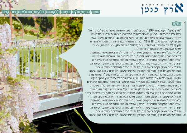 Entry 36308 in Portfolio by דורון בסון