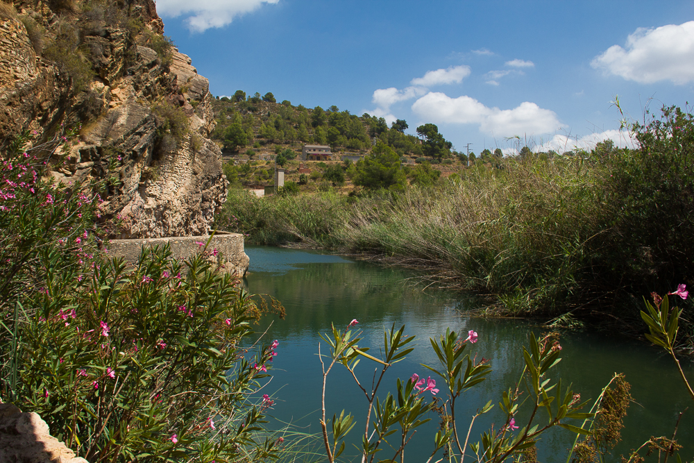 Entry 111148 in nature and animal by צילום