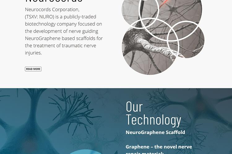 Open Zoomed Related Entry screencapture-neurocords-irm-co-il-2020-02-21-1...