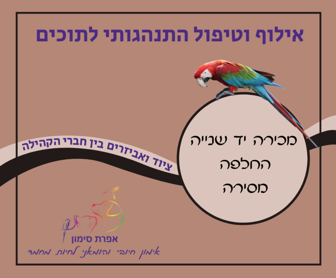 Entry 283112 in אפרת סימון- עיצוב לסושיאל by מירב טל CREATION